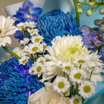 Load image into Gallery viewer, Aquamarine Petite Bloom Box