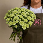 Load image into Gallery viewer, Light Green Carnation