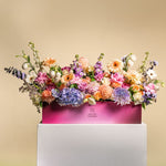 Load image into Gallery viewer, Pastel Palette Statement Box