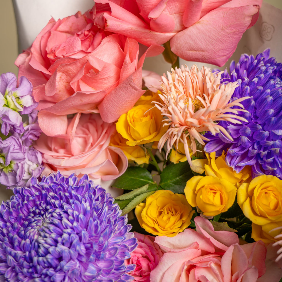 Garden palette petite bloom box