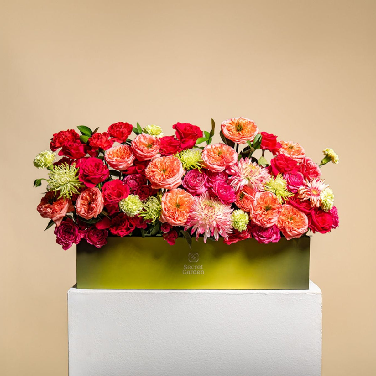 Hibiscusstatementbox