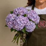 Load image into Gallery viewer, Lilac Hydrangea
