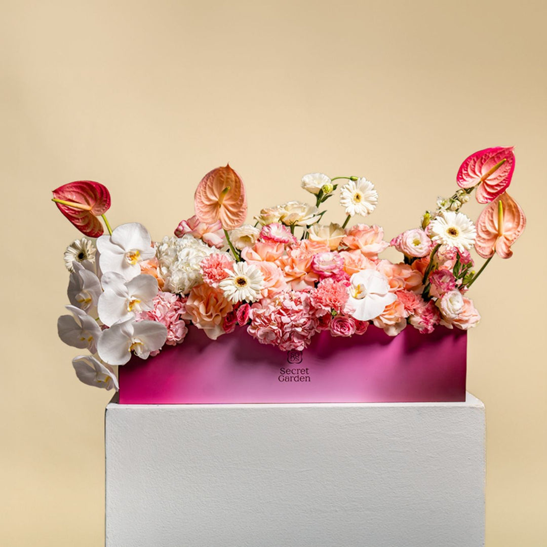 Peach Ombre Statement Box