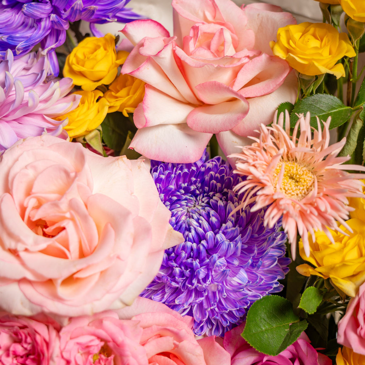 Vivid garden signature bloom box